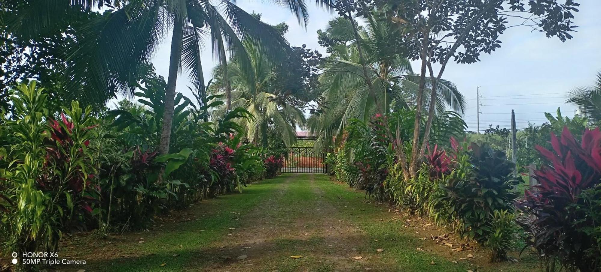 Finca La Paz Puerto Viejo de Sarapiqui Exterior foto